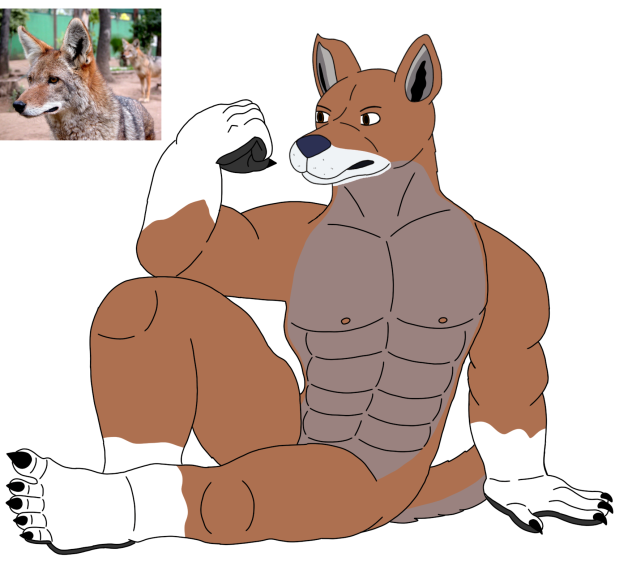 furry Realist jackal