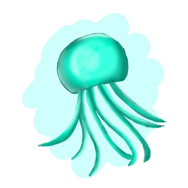 Jellyfish