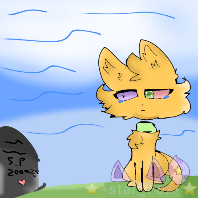 Lonely cat