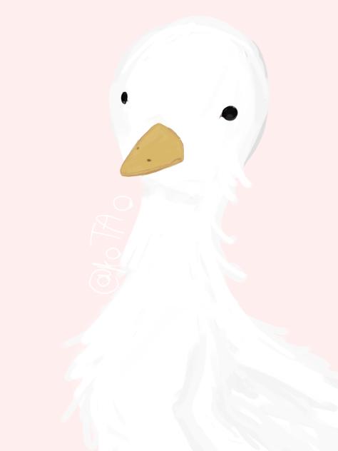 Duck test picture