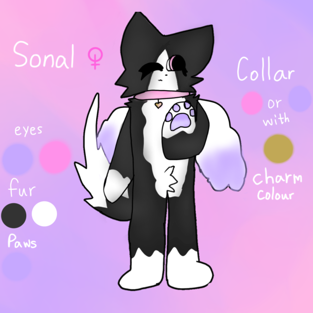 Furry Ref sheet of Sonal!