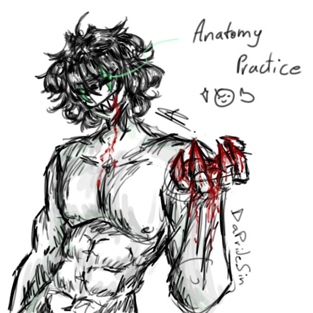 Anatomy practice on Harle