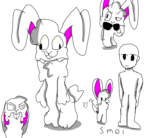 ✨ rabbit ✨