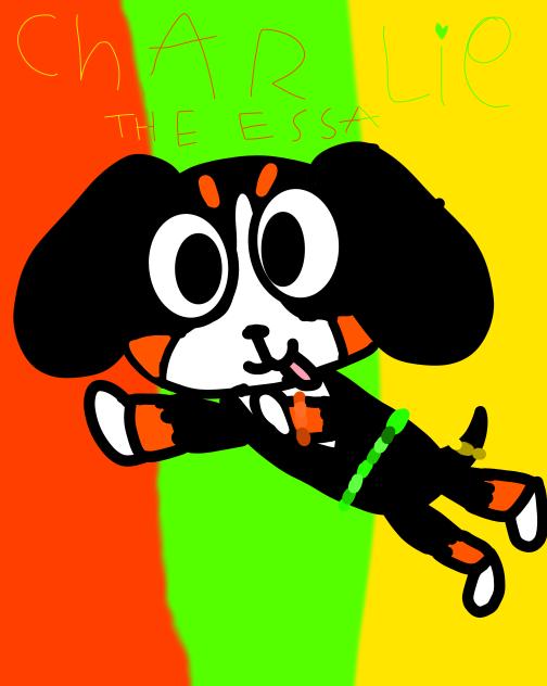my ESSA charlie