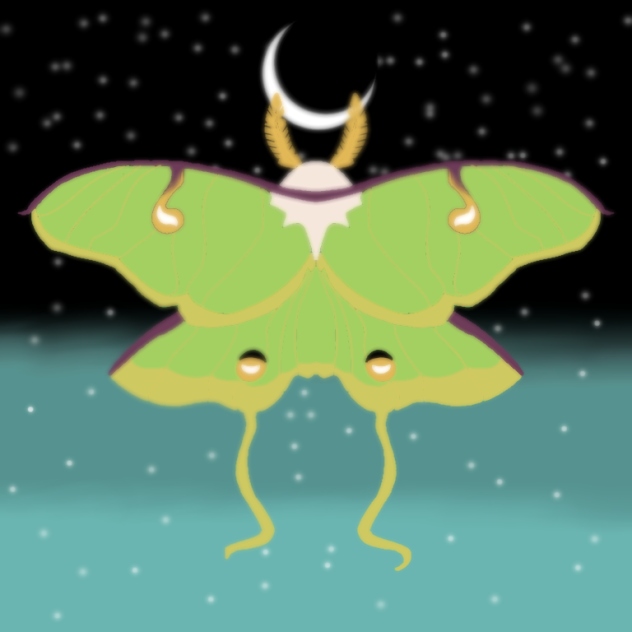 Luna moth