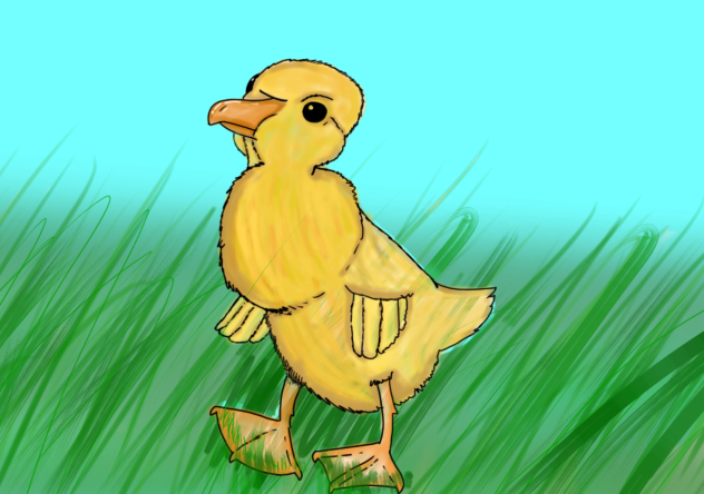 Angwie duckie