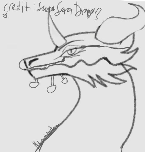 dragon (credit; sunsetsaradragons)
