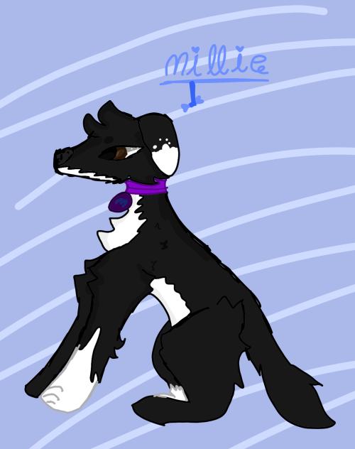 Millie the dog for my comic 🐕‍🦺