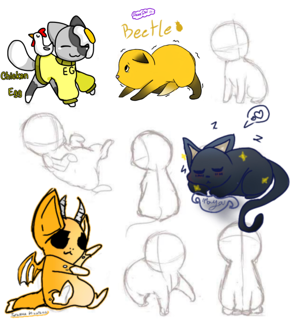 Animal Collab
