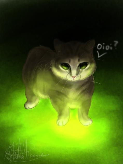 oioioioi catttttttTTT