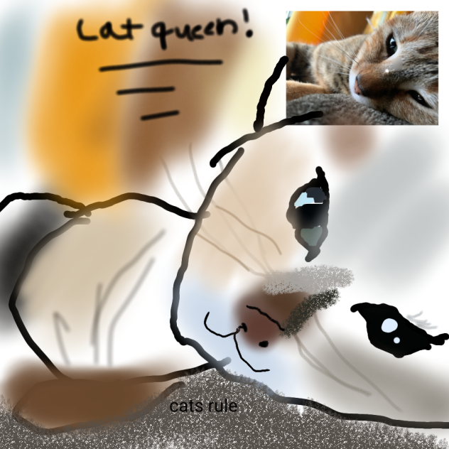 cats - ibisPaint
