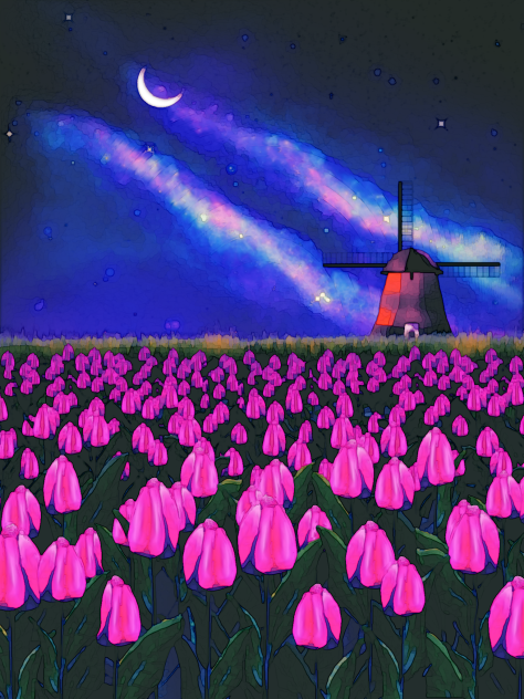 Tulip field (starry night) 2nd version