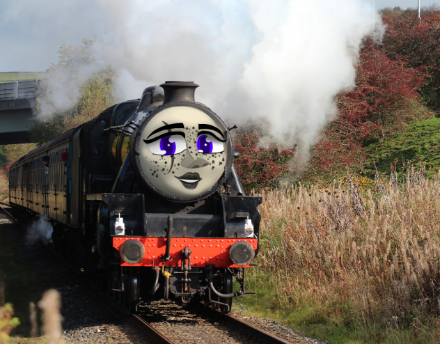 Felicia (without deflectors)