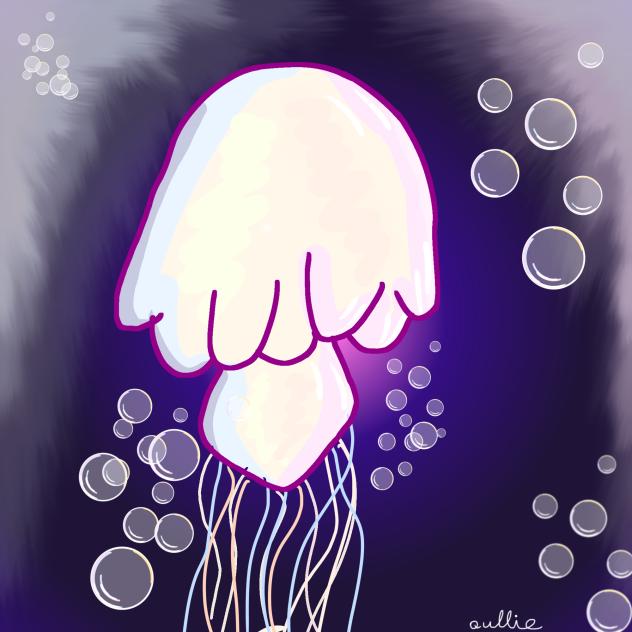 Jellyfish