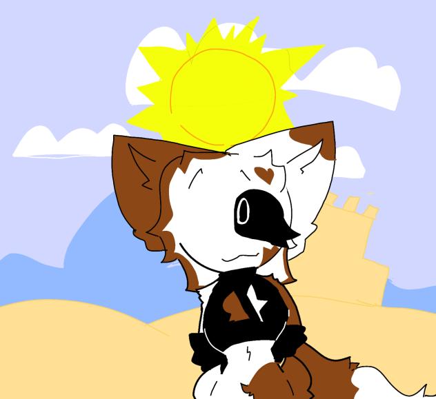 the beach