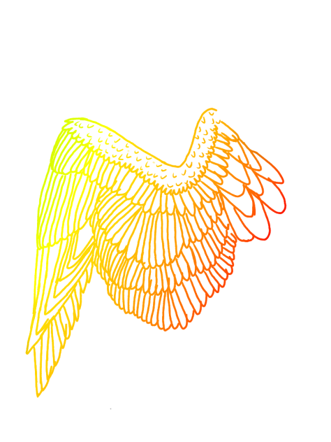 wing - ibisPaint
