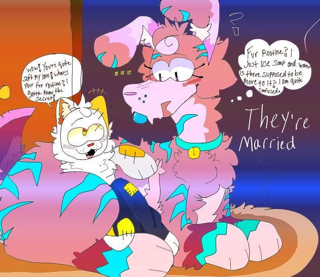 🐱Lovely Bonding!!!!🐶_