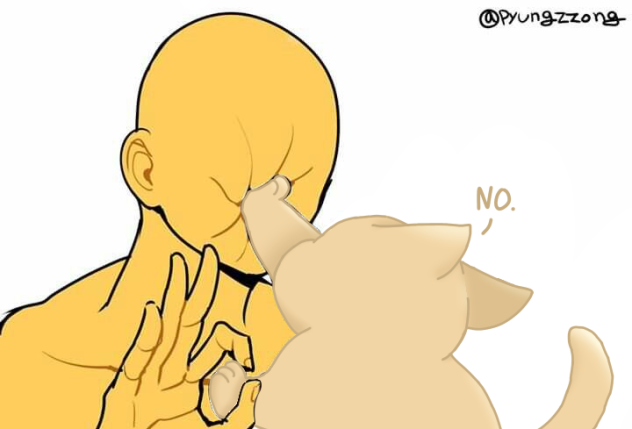 Cat Collab lol