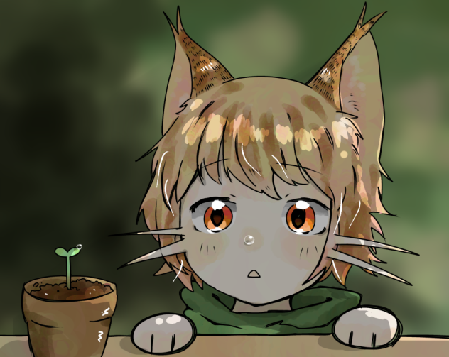 なんか上手くいかなかった