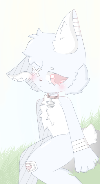 Meow  🐱