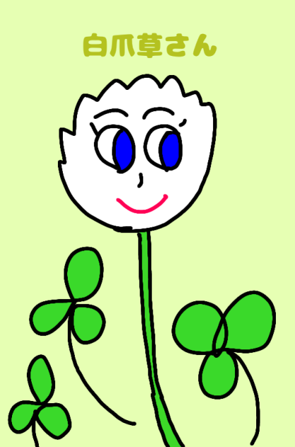 白爪草さん