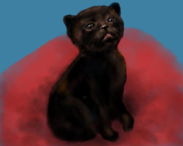 黒猫赤子時代