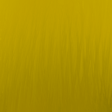 Hair Texture #11