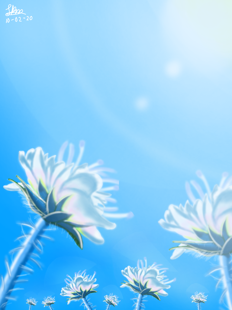 Flowers - ibisPaint