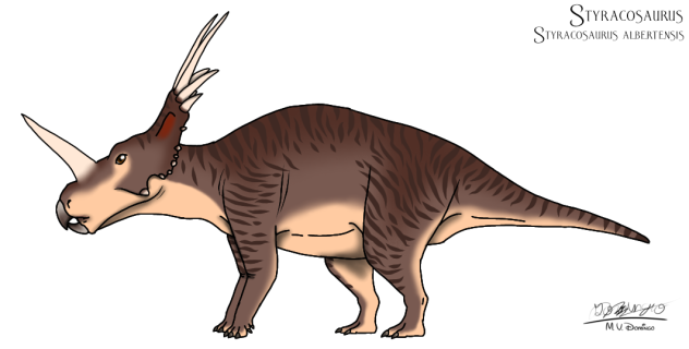 Styracosaurus albertensis