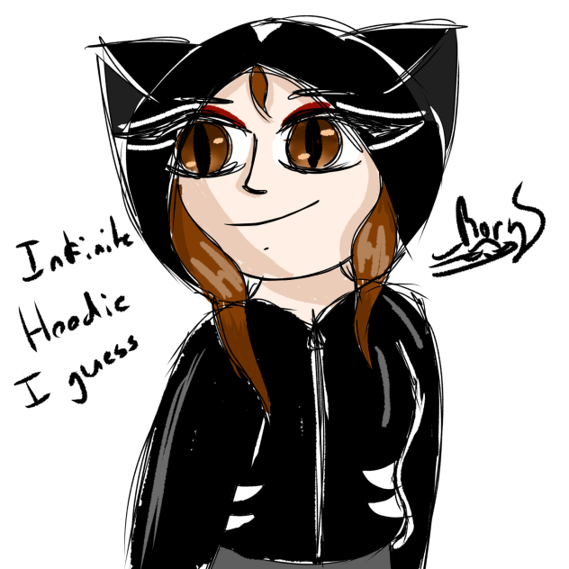 Another Infinite hoodie I guess