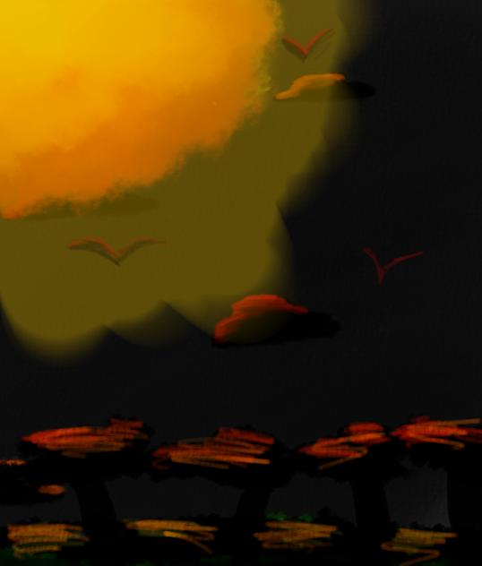 Savanna sunset