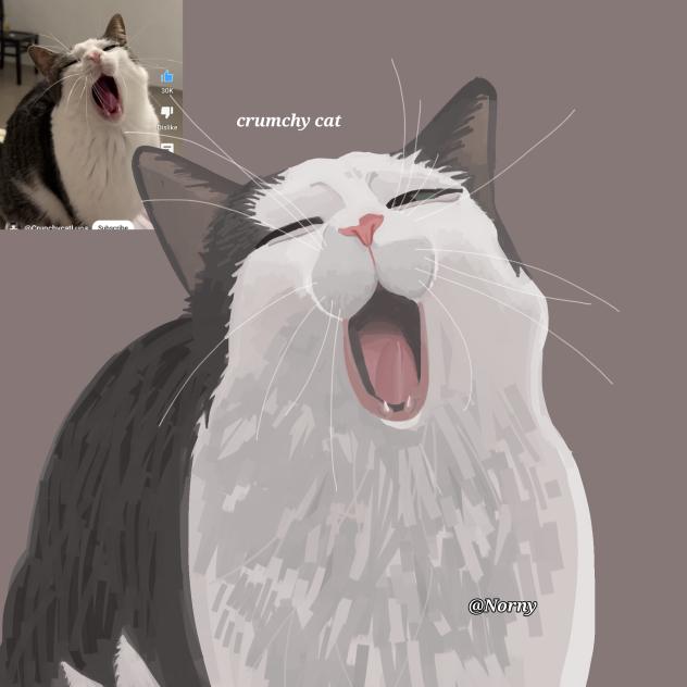 Crumchy cat yawning