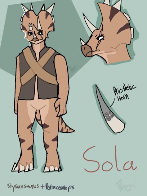 Sola reference sheet