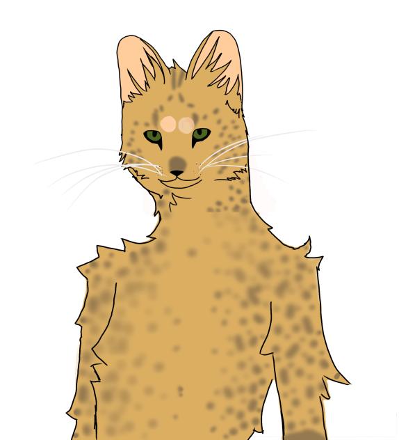 My ugly dnd character (wip)