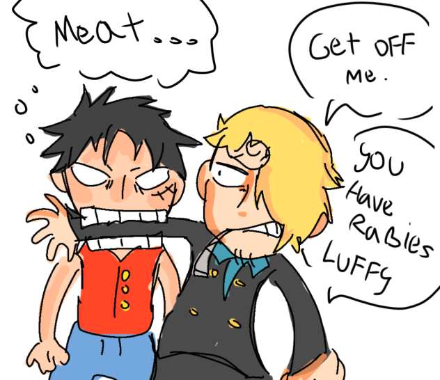 Luffy N sanji