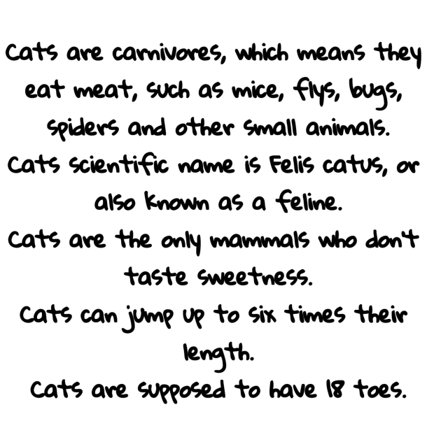 Mi school work h e h e