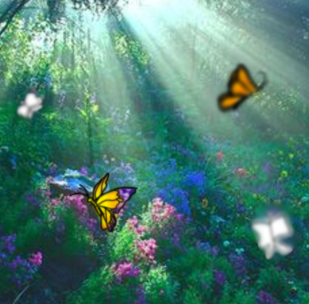 butterfly 🦋 - ibisPaint