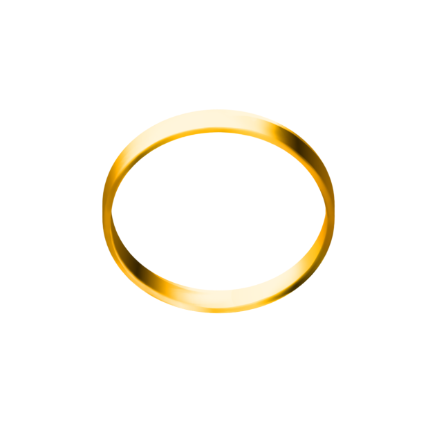 Wedding ring - ibisPaint