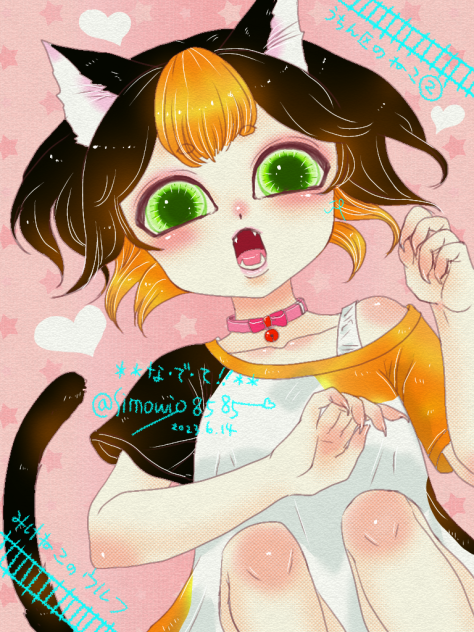 うちん区の三毛猫女子🐱❤️.