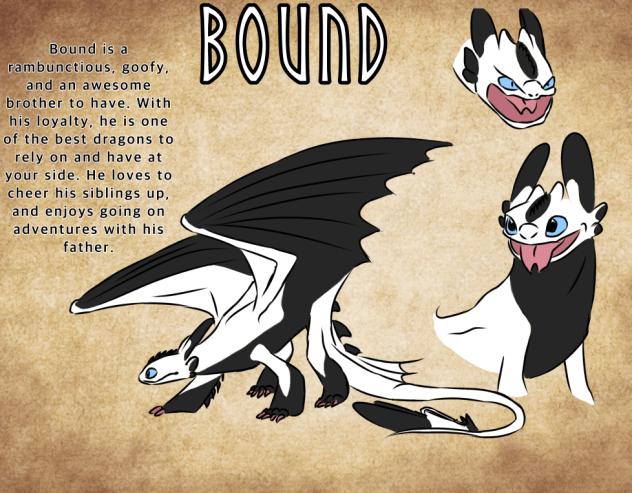 Bound~ Httyd offspring oc
