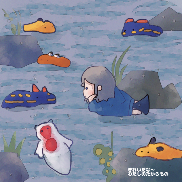 海の宝石