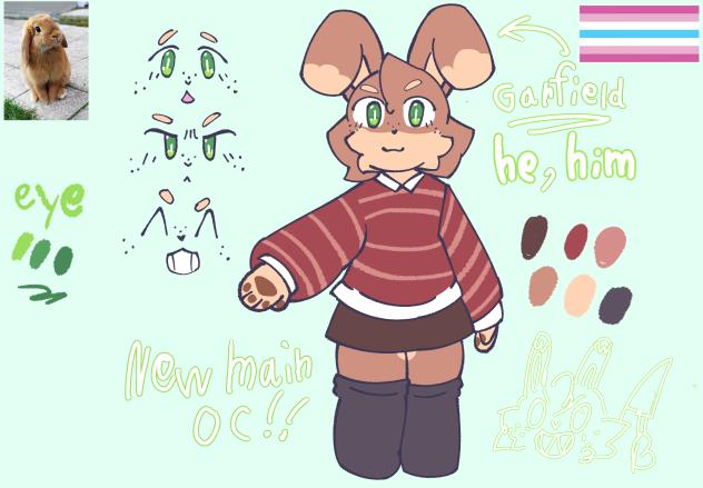 Garfield the brown bunny ✨