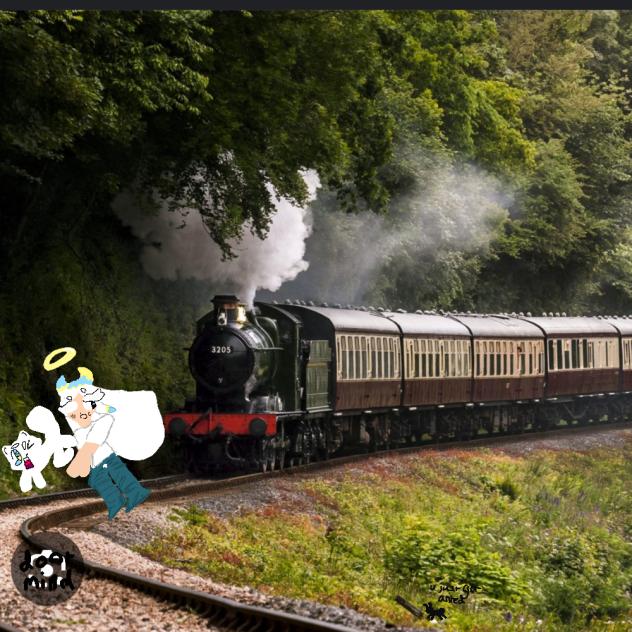train