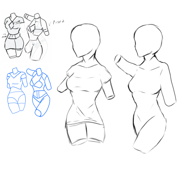More of anatomy practice
