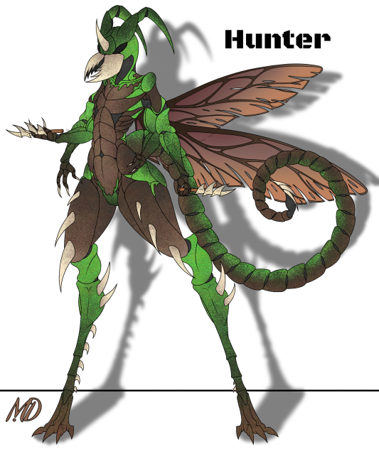 The washer hunter
