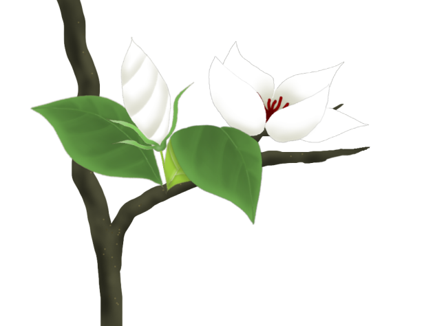 花