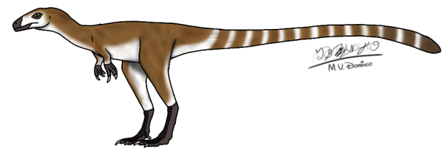 Sinosauropteryx prima female