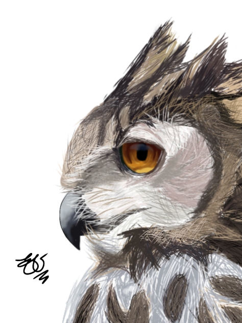 48 Sem Título - ibisPaint