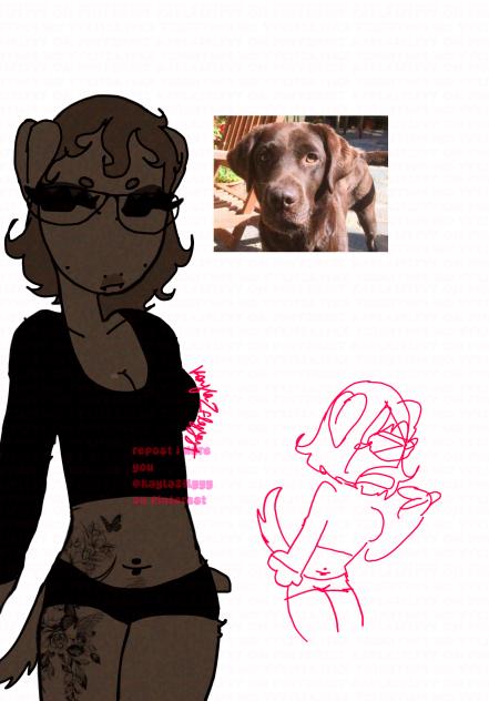 chocolate lab girl