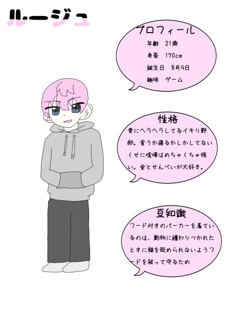 資料！(ルージュ)